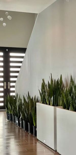 Διαμέρισμα για ενοικίαση Δικηγορικά (Βούλα) - Photo 2