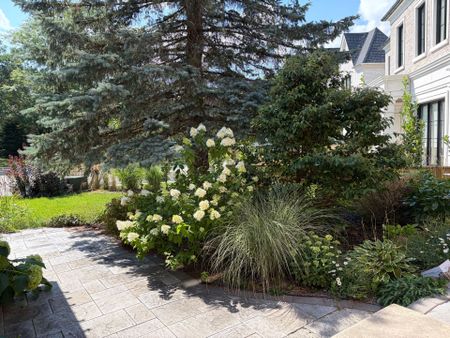For Lease - 23 Lacey Court, Aurora, Ontario - Photo 5