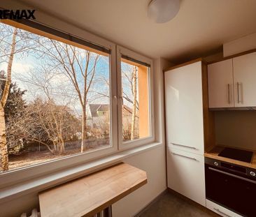 Pronájem bytu 1+1 v osobním vlastnictví 37 m², Kyjov - Photo 3