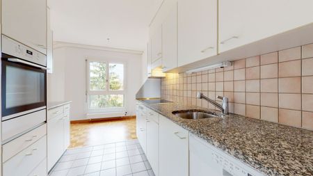 Vue sur le lac - Photo 4