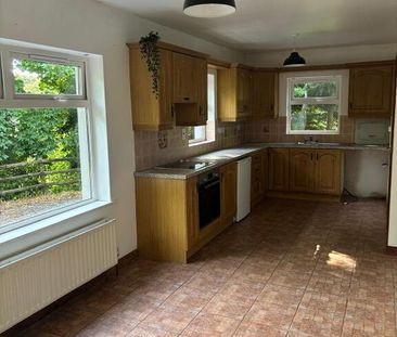 40 Drumnaconagher, Downpatrick, BT30 9JQ - Photo 3