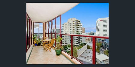 2A Hollywood Avenue, Bondi Junction NSW 2022 - Apartment For Rent | Domain - Photo 5