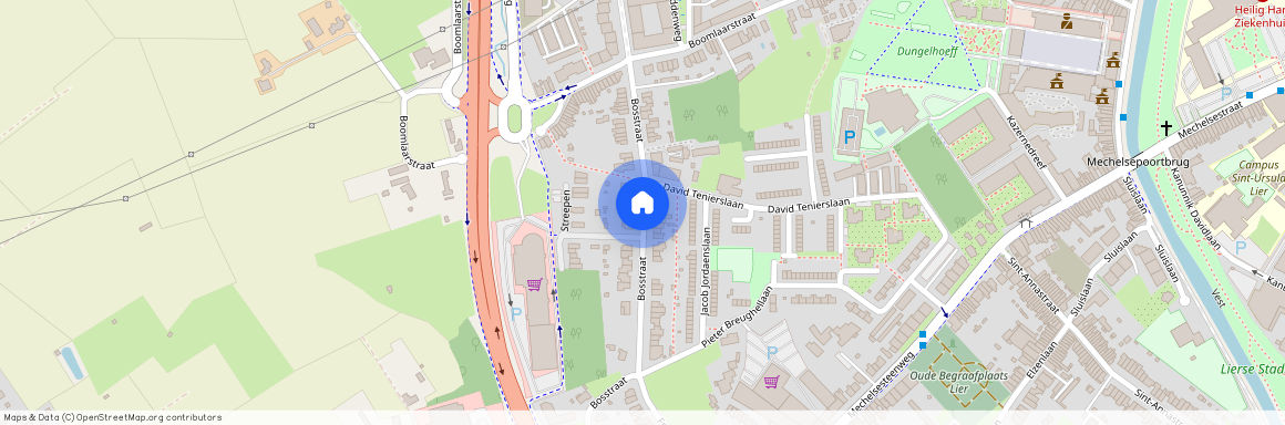 Bosstraat, 2500, Lier