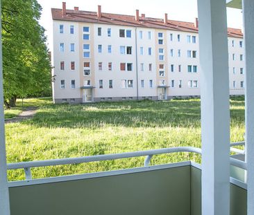 Ein Platz an der Sonne... - Photo 6