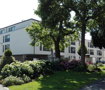 TRAISMAUER IX/1 - BW - Photo 5