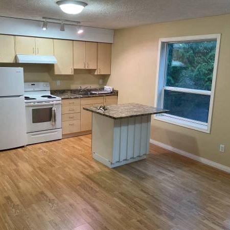 $2,100 (heat & hydro included) 2 bed + 1 bath Lower Suite - Photo 3