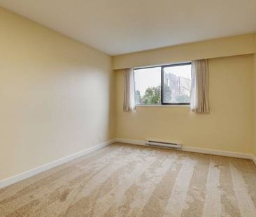 3 Renovated 1 & 2 Bedroom Suites at Marifield Park - Photo 1