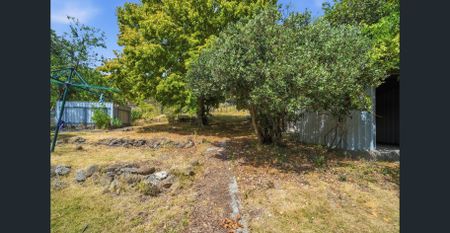 Light Filled 3 Bedroom Home in Convenient Location - Photo 3