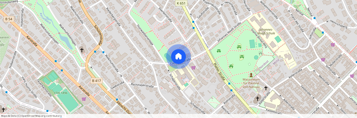 Comeniusstraße 6, 65195, Wiesbaden