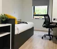 Ensuite Gold - Waterfront - Photo 6