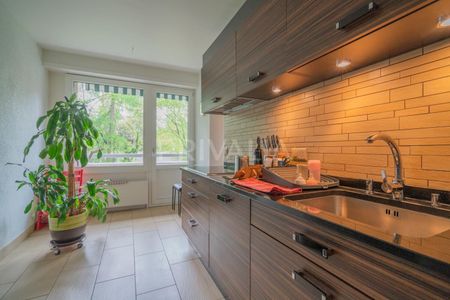 Beautiful through apartment in a green environment in the heart of Florissant - Photo 2