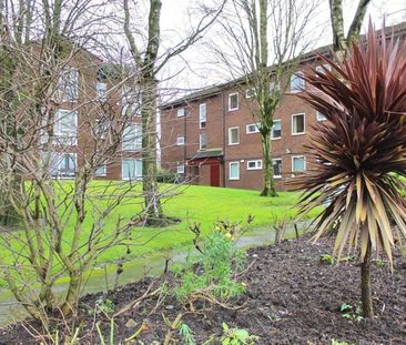 2 Bedroom Apartment To Let - Photo 2