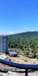 $2500 2 Bed Uptown Burquitlam Apartment - Photo 1