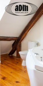 Location 54 Rue du Général Leclerc LOFT lumineux - Photo 4