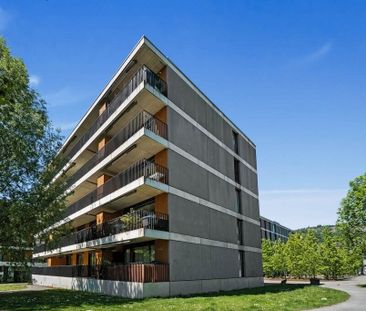 Modern city apartment in the center of Biel - Photo 2