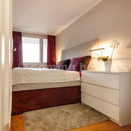 Modern Single Living - Photo 4