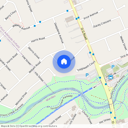 16 Bray Avenue, SA 5087, Klemzig