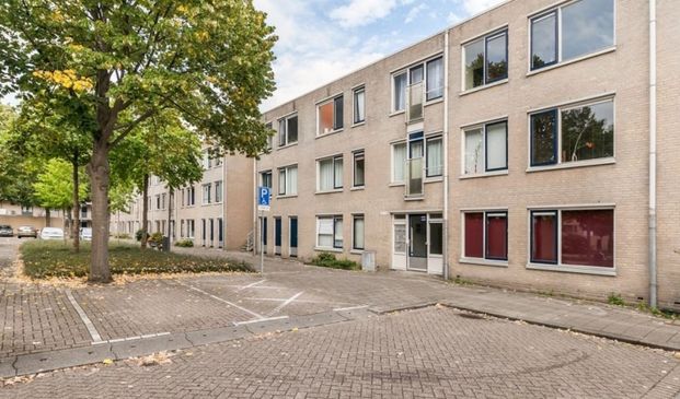 Kobelaan 0ong, 3067 MD Rotterdam, Nederland - Foto 1