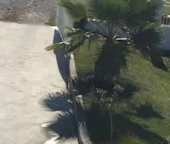 Smaller families welcome - Photo 1