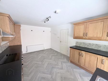 12 Pinley Meadow, Banbridge, BT32 3XZ - Photo 4