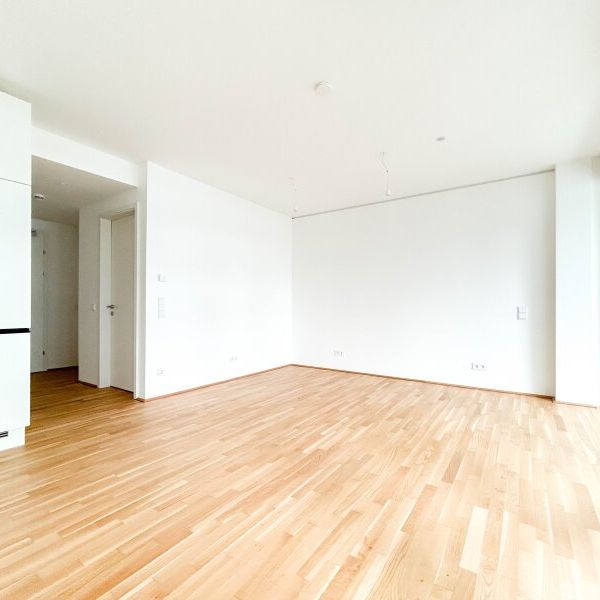 DANUBEVIEW modernes Zuhause mit Freiluft - Oase - Nähe U1 Station Kaisermühlen - Foto 1