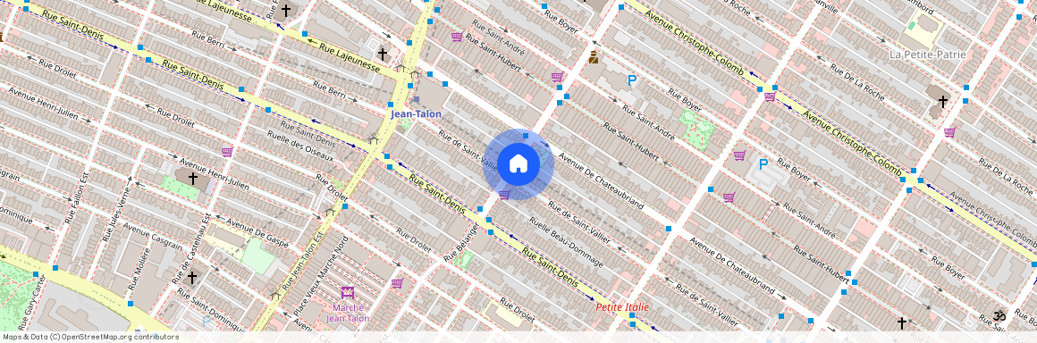 504 Rue Bélanger, Montréal (Rosemont/La Petite-Patrie), H2S1G4