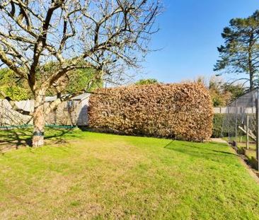 Weston Close, Upton Grey, RG25 - Photo 2