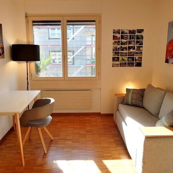 31/2-ROOM LOFT APARTMENT IN ZURICH – KREIS 9 ALBISRIEDEN, FURNISHED, TEMPORARY - Foto 1