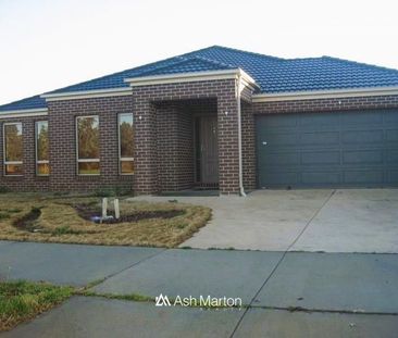 168 Linsell Boulevard, Cranbourne East, VIC 3977 - Photo 4