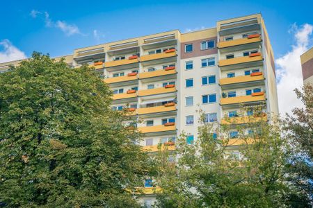 Hoch oben genießt Du den besten Blick - Photo 2