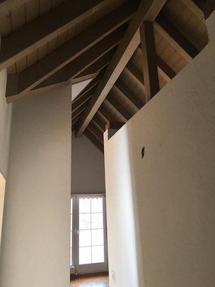 Hier wartet Ihr neues Zuhause - Foto 1