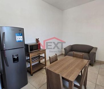 Departamento en Renta- Amueblado - Zona Norte - Photo 3