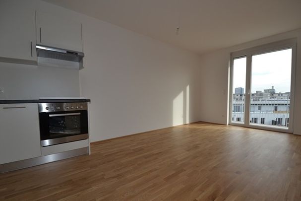 Annenviertel / Zentrum – 55 m² – großer Südbalkon – 2 Zimmer – Schlossbergblick – ab sofort - Photo 1