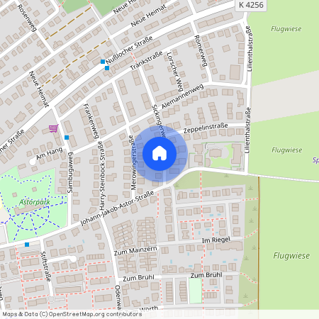 Sickingerweg 20, 69190 Walldorf