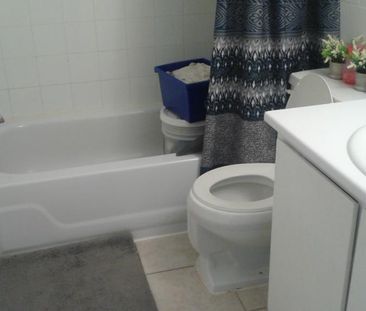 Alouer 3 1/2 Anjou - Photo 1