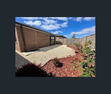 Modern Family Living in the Heart of Fraser Rise - Photo 4