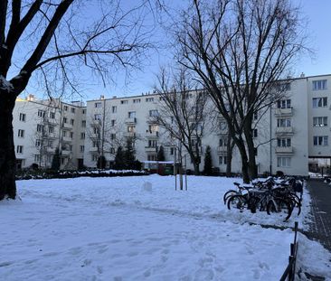 Jasne południowe mieszkanie obok metro pl Wilsona 275 cm wysokości ... - Photo 6