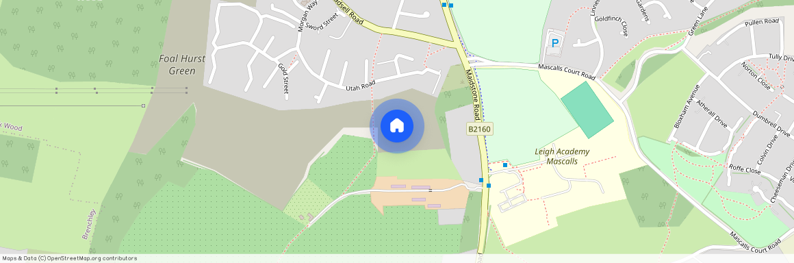 Foal Hurst Green, Paddock Wood