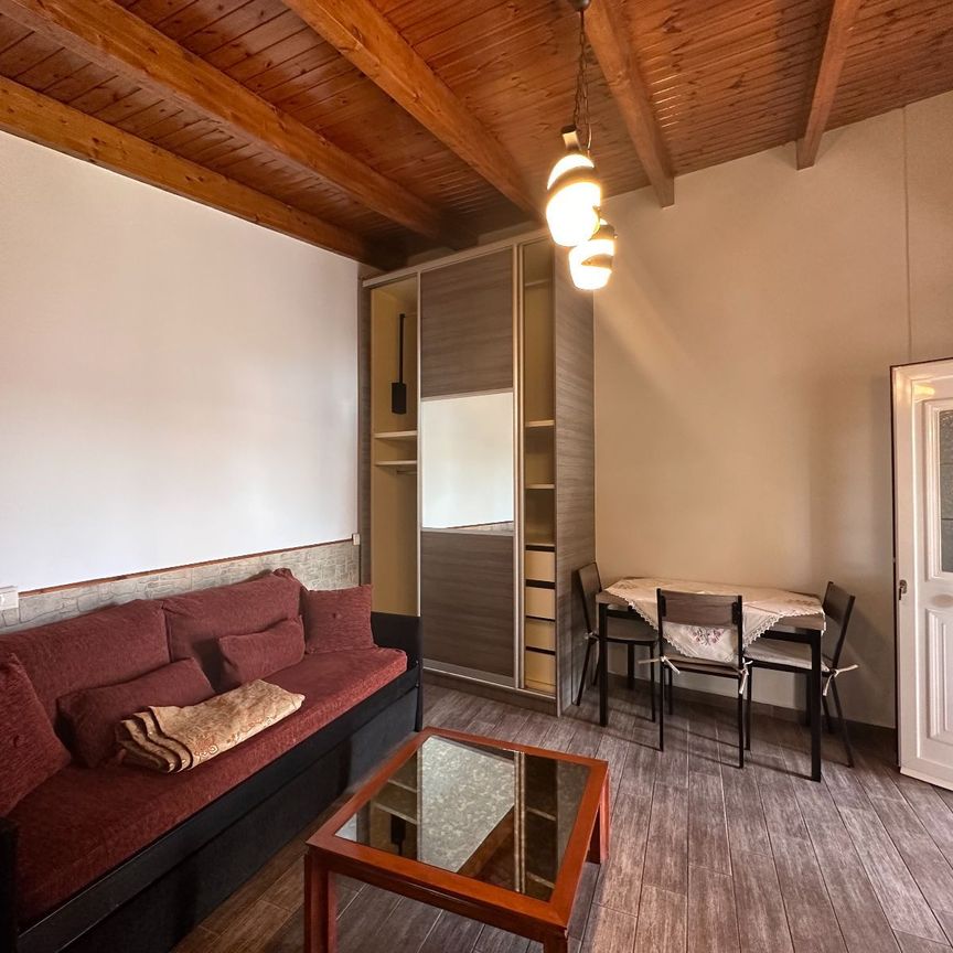 Studio/Γκαρσονιέρα για ενοικίαση Στενό (Σαλαμίνα) - Photo 1