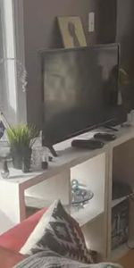 Grand / Big “ 4 1/2 “ au centre ville/ in downtown - Photo 4