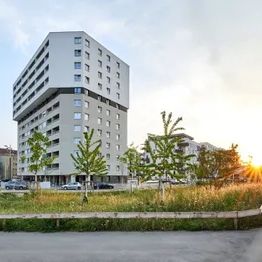 ### SUNNY SONNWENDVIERTEL - HELL, KLEIN UND FEIN!### - Foto 2