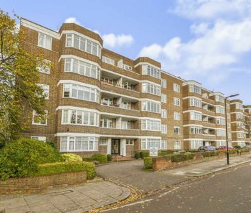 Mount Avenue - Photo 3