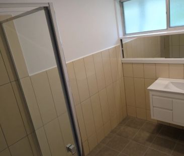 Spacious Renovated Unit - Photo 5