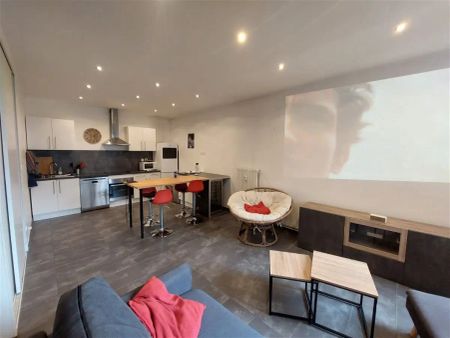 Location appartement 2 pièces - 55m² à Villeurbanne (69100) - Photo 4