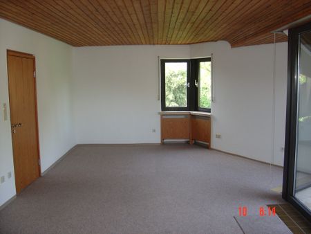 Einzigartiges Architektenhaus mit ELW auf parkähnlichem Grundstück - Foto 2