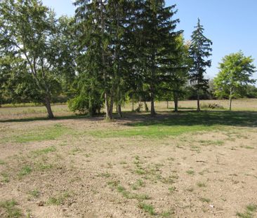 For Lease - 11981 MORRIS Road, Niagara Falls, Ontario - Photo 6