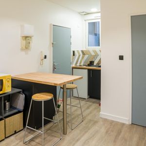 Location Appartement 1 pièce 15m² DIJON 21000 - Photo 2