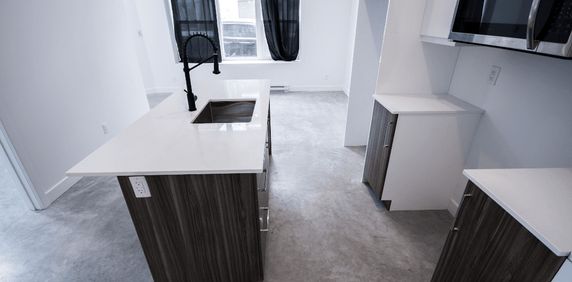Grand 3 1/2 Style Loft Tout Inclus - Photo 2