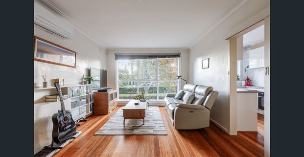 Perfectly Positioned, Light-Filled Home in the Heart of Canterbury - Photo 1
