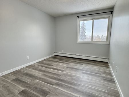 2 weeks free Modern 2-Bedroom Apartment - SMALL PET FRIENDLY! - Photo 3